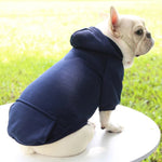 Sweat Capuche Chien - Vignette | La Truffe Pimpante