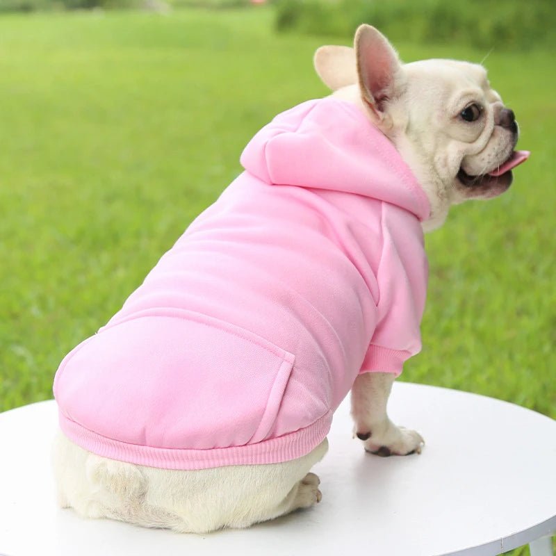 sweat chien pas cher rose