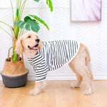 T-Shirt Grand Chien - Vignette | La Truffe Pimpante