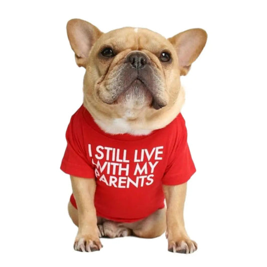 Tee Shirt pour Bouledogue Français