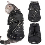 Veste en Cuir pour Chat - Vignette | La Truffe Pimpante